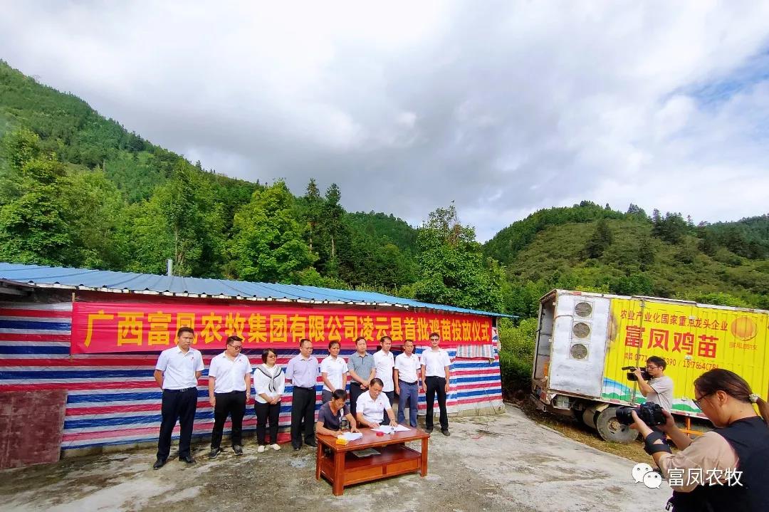 广西国产午夜麻豆影院在线观看农牧集团