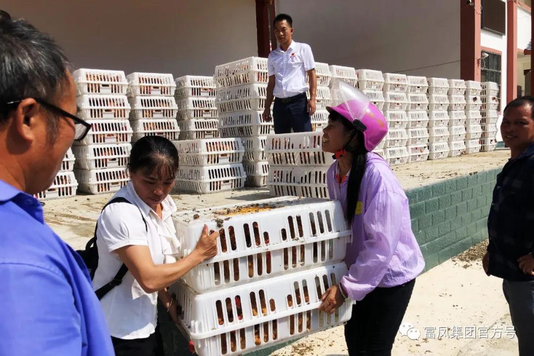 广西国产午夜麻豆影院在线观看农牧集团