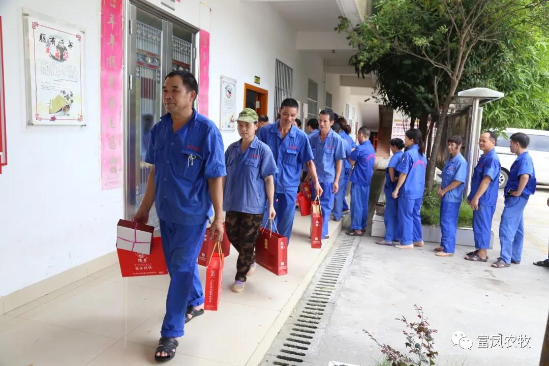 广西国产午夜麻豆影院在线观看农牧集团