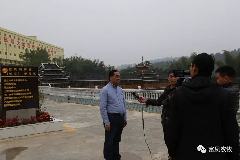 广西国产午夜麻豆影院在线观看农牧集团
