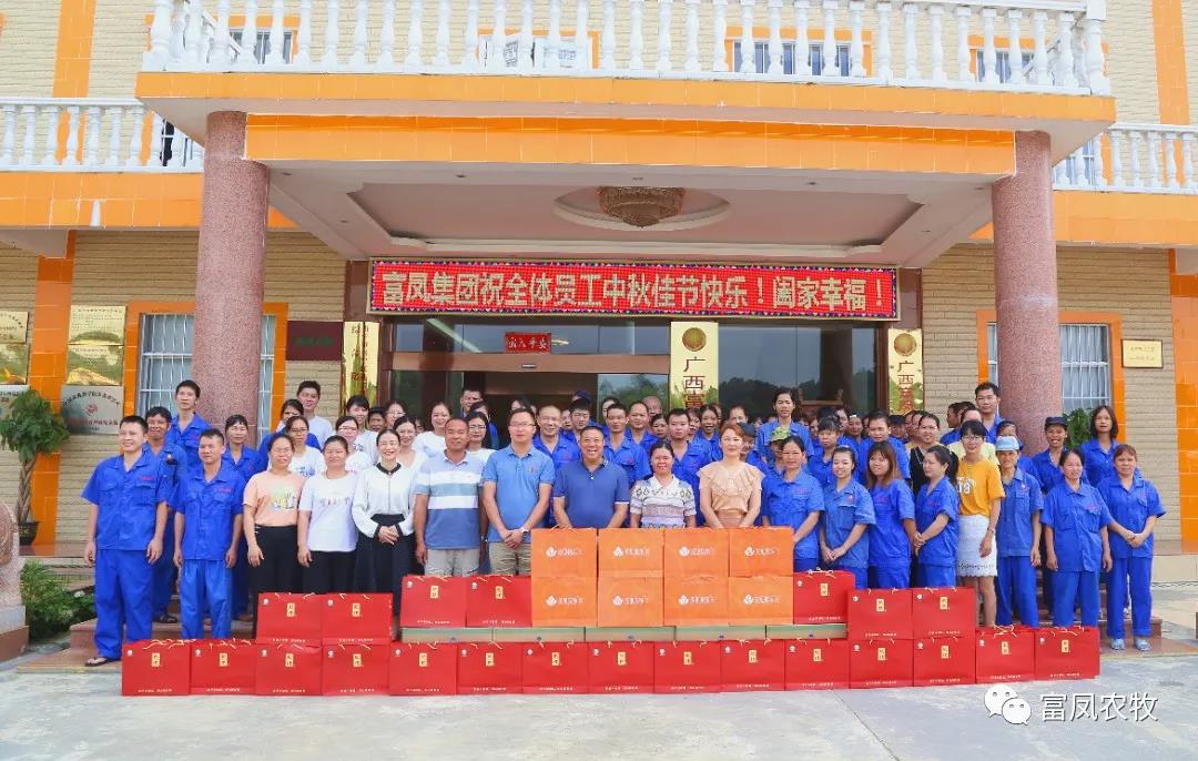 广西国产午夜麻豆影院在线观看农牧集团