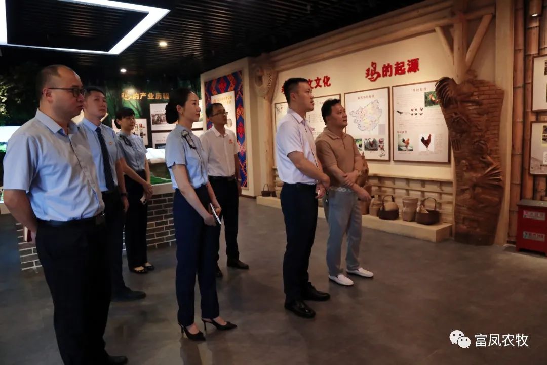 广西国产午夜麻豆影院在线观看农牧集团