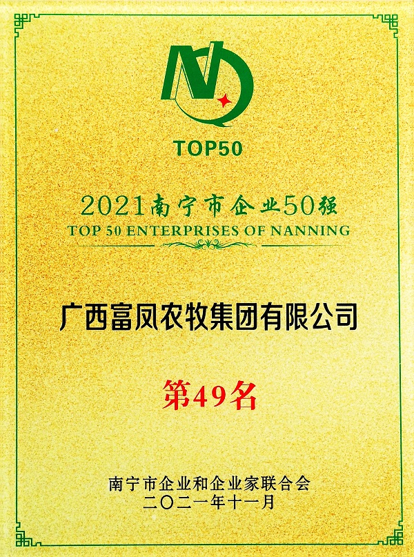 国产午夜麻豆影院在线观看集团