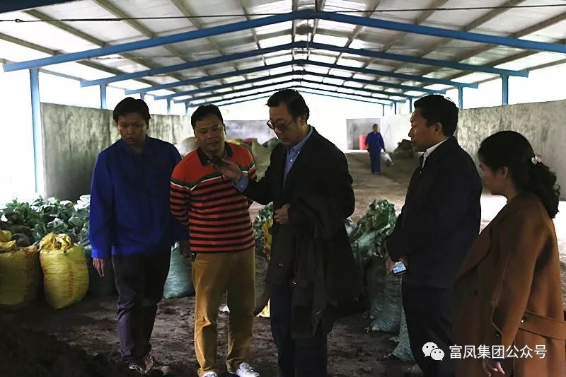 广西国产午夜麻豆影院在线观看农牧集团