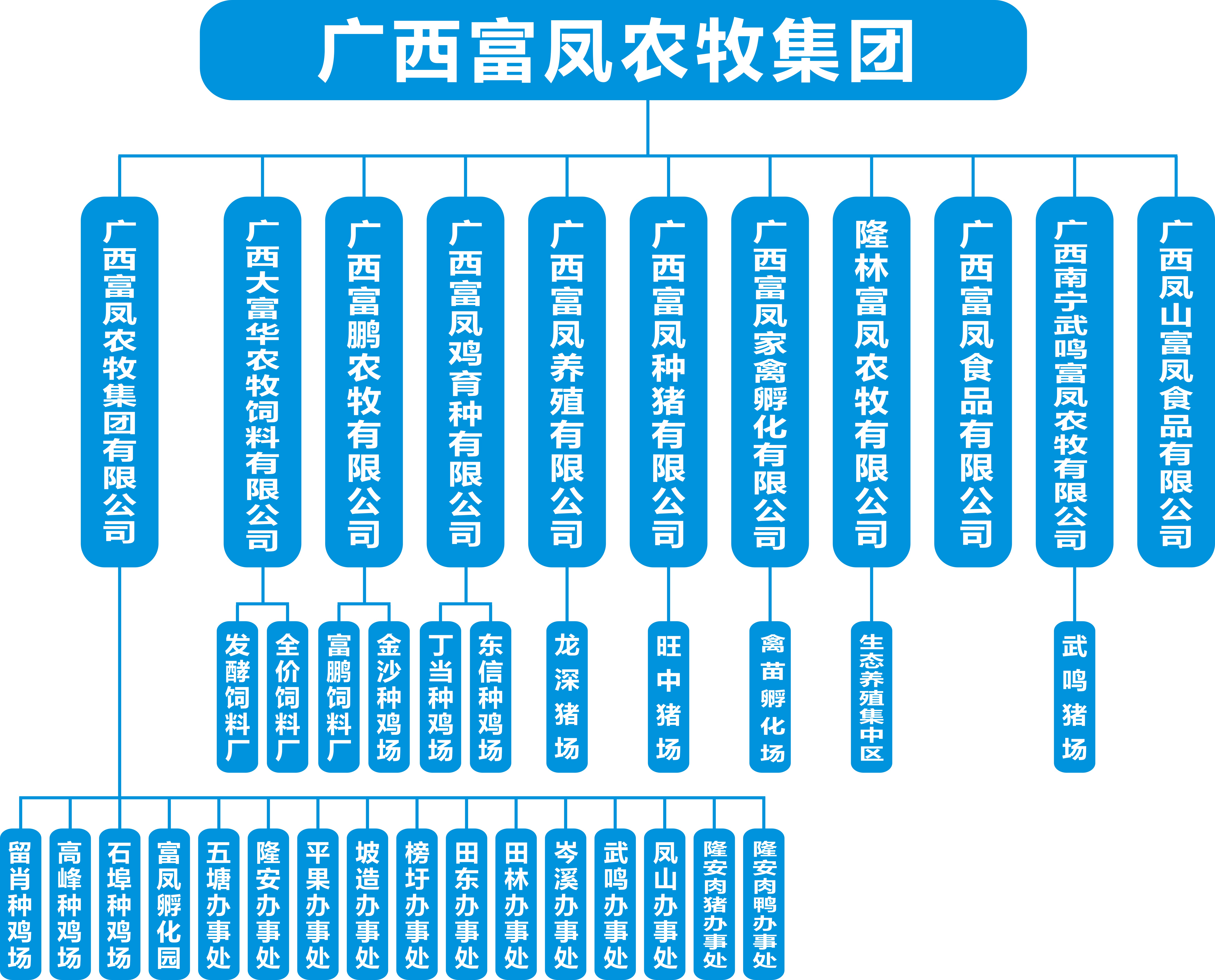 国产午夜麻豆影院在线观看