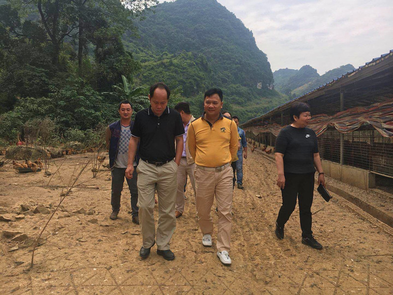 广西国产午夜麻豆影院在线观看农牧集团
