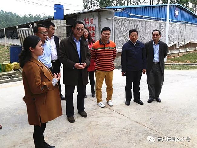 广西国产午夜麻豆影院在线观看农牧集团