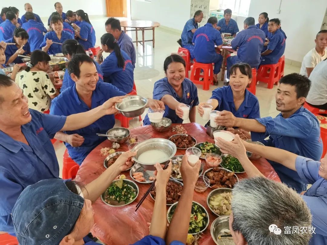 广西国产午夜麻豆影院在线观看农牧集团