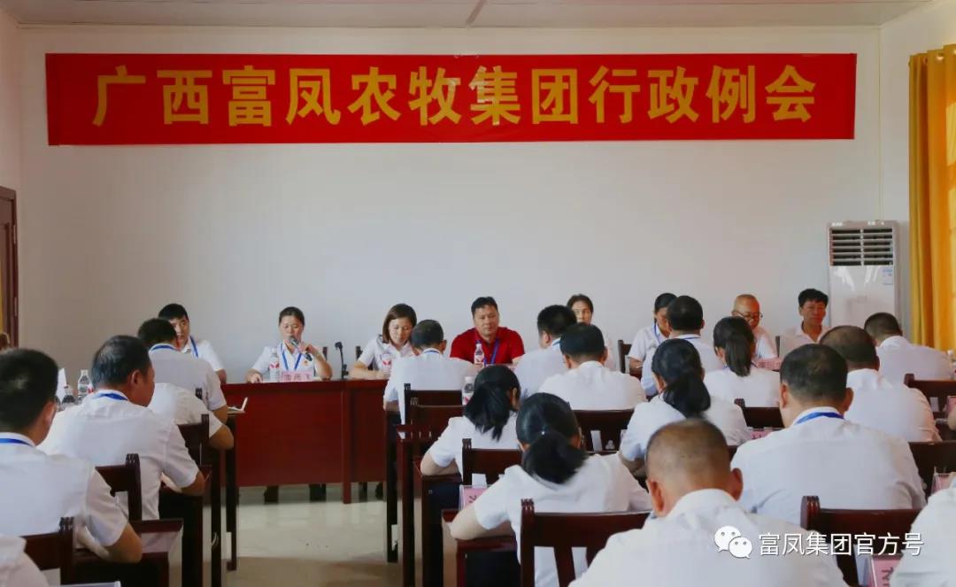 国产午夜麻豆影院在线观看集团