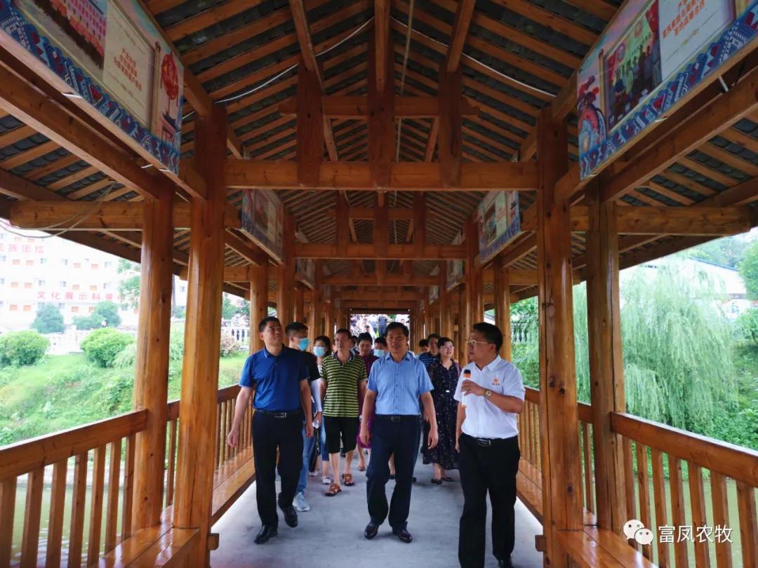 广西国产午夜麻豆影院在线观看农牧集团