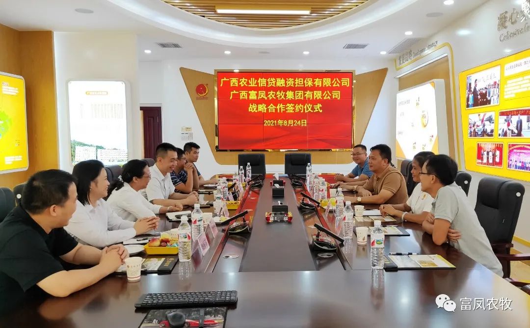 广西国产午夜麻豆影院在线观看农牧集团