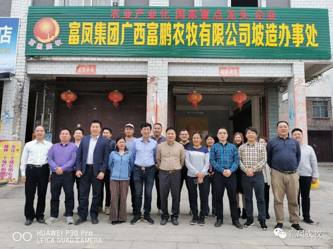 广西国产午夜麻豆影院在线观看农牧集团