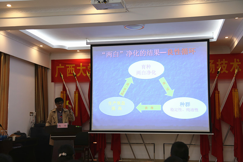 广西国产午夜麻豆影院在线观看农牧集团